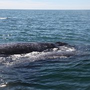 IMG 0001 2 (76)